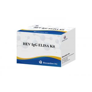 HEV Human Igg Elisa Kit Diagnostic For IgG Antibody To Hepatitis E Virus