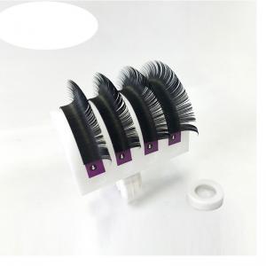 China All Sizes False Eyelash Extensions Mink Black Material JBCD Curls 1 Tray/Lot wholesale