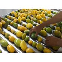 China Advanced Dried Mango Processing Machine / Commercial Mango Drying Machine on sale