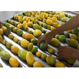 China Advanced Dried Mango Processing Machine / Commercial Mango Drying Machine supplier
