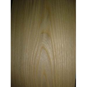 Crown Cut Chinese Elm Veneer Natural Wood Veneers