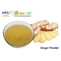 Zingiber Officinale Ginger Root Extract Powder Yellow Brown