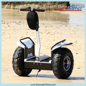 China New arrived 2 wheels electric scooter ,electric chariot with golfbag holder supplier