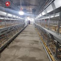 China H Type 3 Tiers 4 Tiers Poultry Farm Broiler Cage Equipment for 50000 chickens on sale