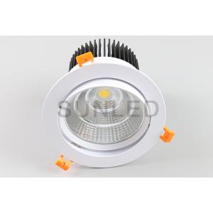 Indoor LED Recessed Downlight Warm White Ip65 Cool White Downlights