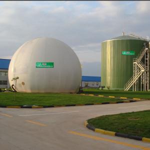 China Automatic Tecon Gas Holder Anaerobic Biogas Gas Holder Dual Membrane supplier