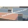 China Wall Panels / Roll Formed Structural Steel Buildings Kits For Metal Building wholesale