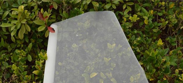 Fly Proof Fibreglass Insect Mesh Roll 0.5-3m 16x16mesh For Windows