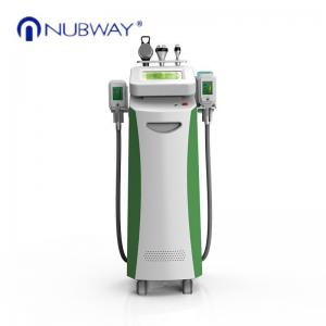 Low Price Fat Freeze with some free Antifreeze Membrane for Cryolipolysis Slimming Machine