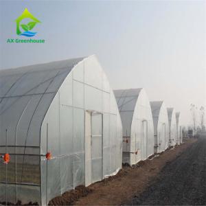 OEM Aluminium Double Layer Poly Tunnel Greenhouse Onion Farming