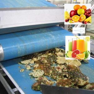High Efficiency Belt Type Fruit Juice Squeeze Machine Wooden Packages