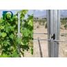 China C - Shaped Plant Support Posts Galvanized Steel Trellising Custom Made wholesale