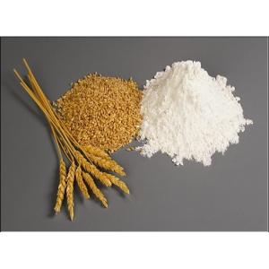 China Wheat Gluten Meal Protein Content 75% Min , on Dry Basis , N X 5.7 HS code 1109.0000 supplier