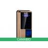 CAMA-C010 Biometric Security Door Lock For Entrance Access Control