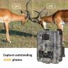China 940nm Wildlife Trail Hunting Camera No Glow 30MP 1080P HD 0.3s Trigger wholesale