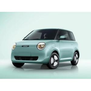Mini Cute Adults Modified Vehicle Pure Electric Nuomi With Reversing Image Driving Assistance Image