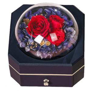 OEM Recycled 0.406kg Jewelry Gift Box Plastic 115×115×110mm