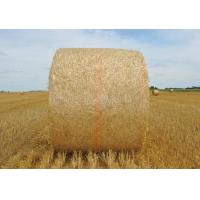 China White Hdpe Bale Net Wrap With UV Protection , 6gsm - 12gsm Weight on sale