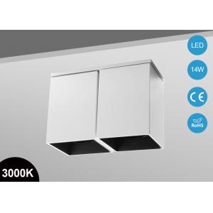 2*10Watt Aluminum Outdoor LED Flush Mount Ceiling light For Bathroom