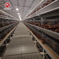 China One Day To 45 Days Broiler Chicken Cage For Chicken Farm on sale