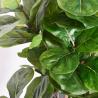 China Artificial Ficus Microcarpa  6 Ft Indoor Pot Faux Fiddle Leaf Fig Tree For Indoor Living Room Decoa wholesale
