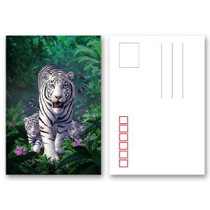 Durable Animal Theme OEM 3D Lenticular Postcard / Gift Card Printing