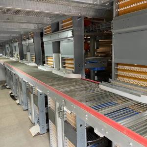 Galvanized Stainless Egg Conveyor Belt Systems For Egg Collection And Grading