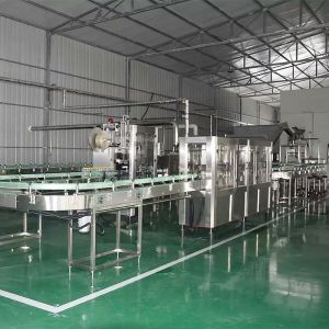 China Automatic mango Fruit Juice Processing Line  Fresh Fruit Complete Juice Production Line wholesale