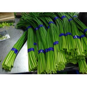 New Crop Chinese Fresh Garlic Bolt