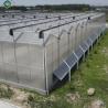 China ベンロ様式 ポリ炭化物 農業温室 サイズ調整可能 wholesale