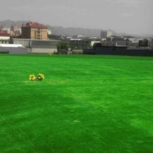 China Single Green Pet Friendly Fake Lawn / Outdoor Artificial Grass For Dogs supplier