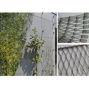 3m Height 7 × 7 Wire Rope Mesh Climbing Plants Diamond Green Facade Cable System