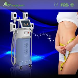 Fat reduce beauty device cryolipolysis body slimming machine