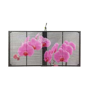 China Indoor Advertising Video Wall P3.91-P7.82 Transparent Glass LED Screen Display wholesale