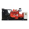 China Generador de gas de 50 Hz de frecuencia conjunto Cummins Generador de gas natural 250kVA Generador de gas wholesale