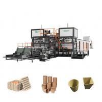 China Industrial Nursery Tray Forming Machine Electrical Plant Tray Production Line on sale