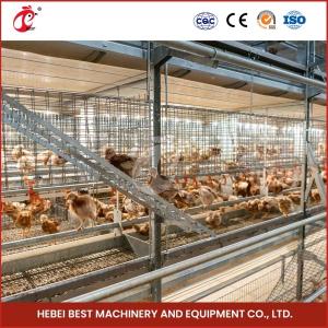 Assembly Brooding Quail Brooder Cage With Automatic Manual Cleaning Emily