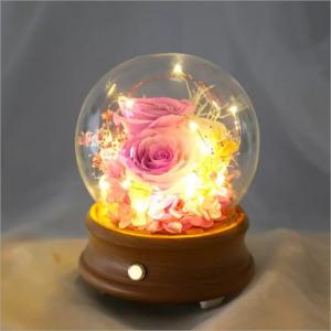 Wholesale Rose Preserved Flower in Glass Dome Flower for Valentines Day rose gift