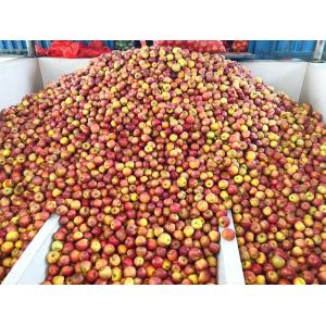 Fruit Juice / Apple Juice Processing Line 100 - 10000L/H Capacity
