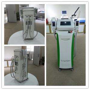 China 2018 newest Cryolipolisis freezing fat zeltiq coolsculpting machine for sale supplier