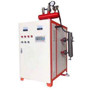 China High Pressure 36kw Industrial Steam Generator For Food Industry supplier