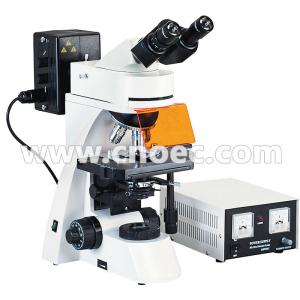 China 100X Wide Field Fluorescence Microscope Trinocular Compound Microscopes A16.0203 supplier