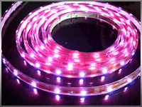 China la couleur de 12v RVB changeant 60 flexibles a mené l'éclairage de bande avec à télécommande pour la partie, barre supplier