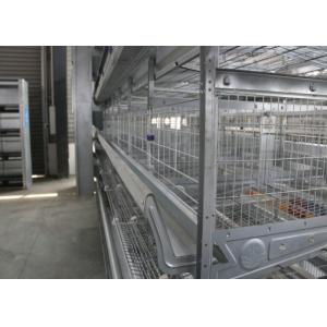 China High Performance Industrial Chicken Coop Easy To Assemble ISO Certification supplier