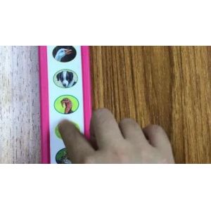 China Educational Module Board Book with Remote Control Flash of Light for 3-8 Years Children's Sound Book wholesale