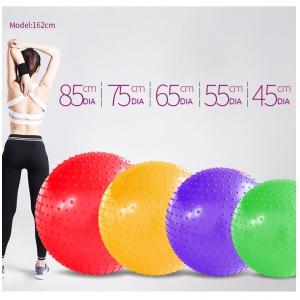 Diameter 55cm Pilates Gym Ball , Ecofriendly Pink Massage Ball PVC Material