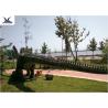 China Giant Outdoor Dinosaur Model Decoration For Real Estate Dinosaur Display wholesale