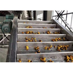 Energy Saving Passion Fruit Processing Line Easy Operation CE Certificate