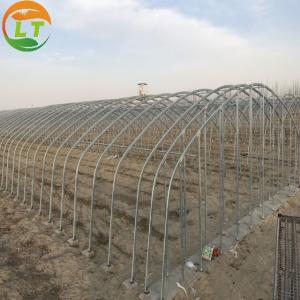 China Film Cover Material Hot-dipped Galvanized Frame Agricultural Greenhouse in 6m/8m/10m/12m supplier