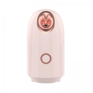 220V Nano Ionic Facial Steamer